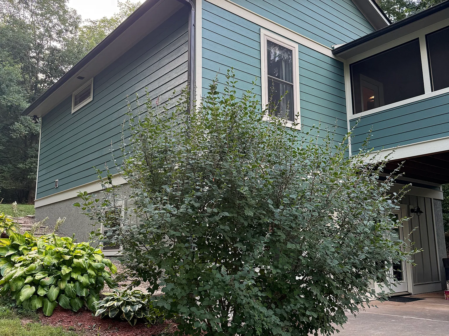 2 bed, 784 sqft, $1,900 — Photo 1