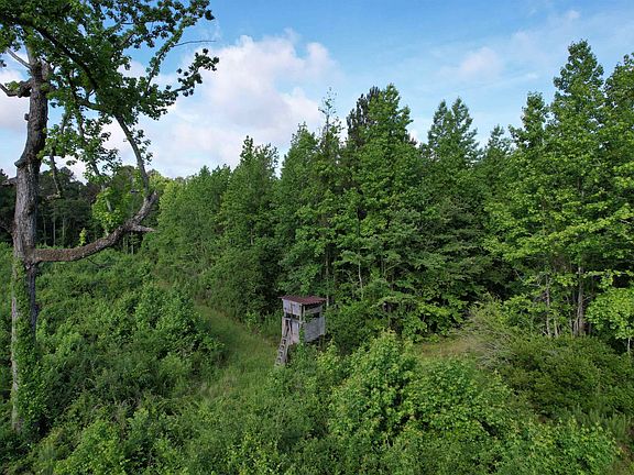2nd image of 81.67 Acres - Twin Church Rd