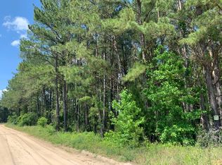 Gist Dr, Manning, SC 29102