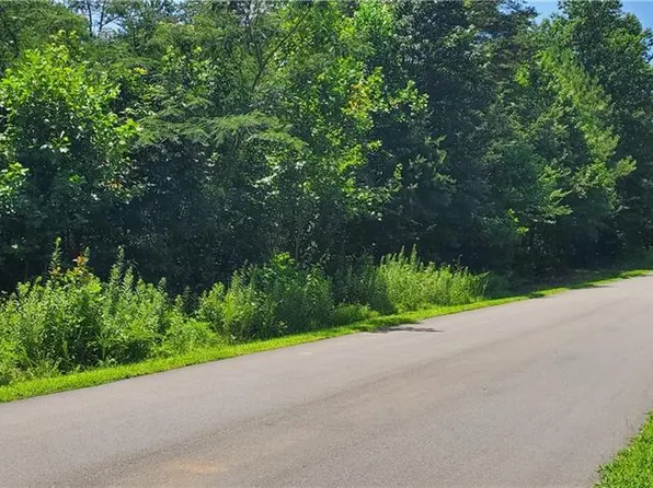 168 Valley Springs Dr #53, Olin, NC 28660