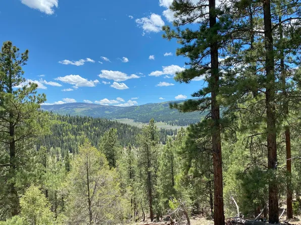 Xx Taos Cyn, Taos, NM 87571