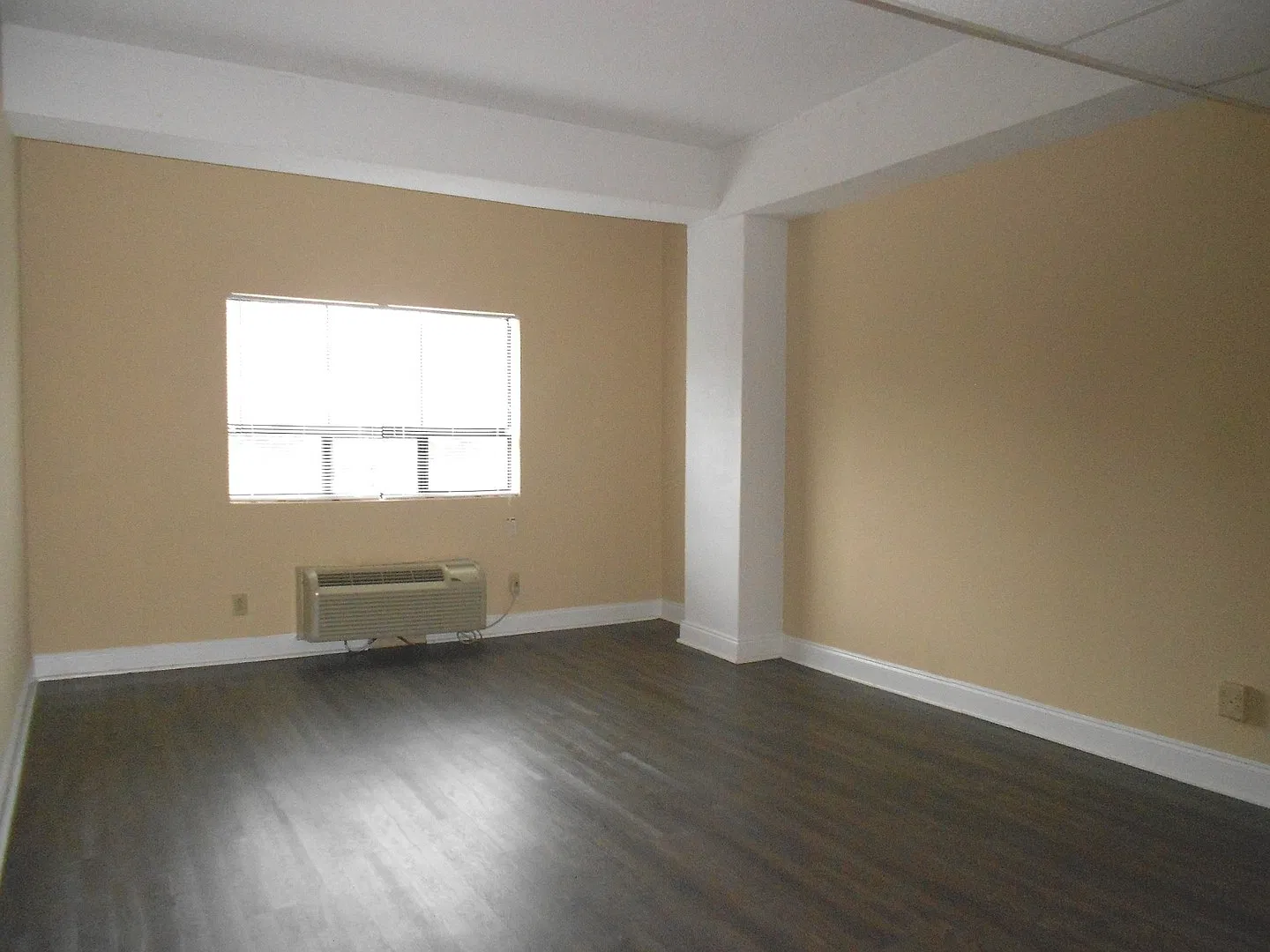 Studio Apartment in Downtown Athens - Steps Away From UGA Campus — Photo 3