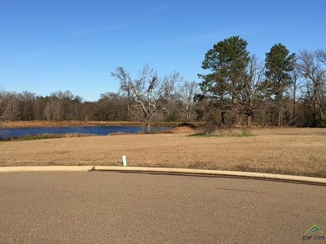 1st image of LOT 19 Blue Heron