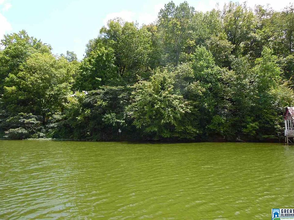 1st image of 0 Shelton Shores Dr