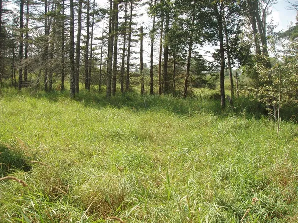316 E Illinois Street, Butternut, WI 54514