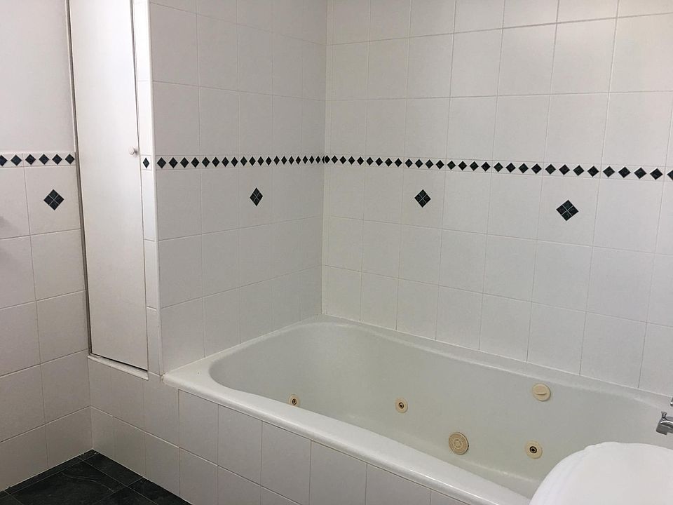 large shower and jacuzzi soaking tub