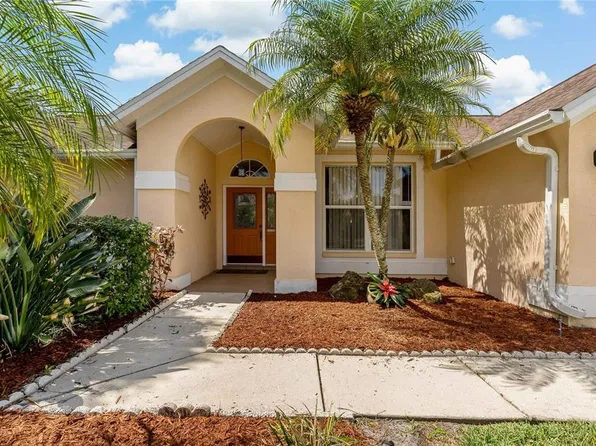 9221 Rockrose Dr, Tampa, FL 33647