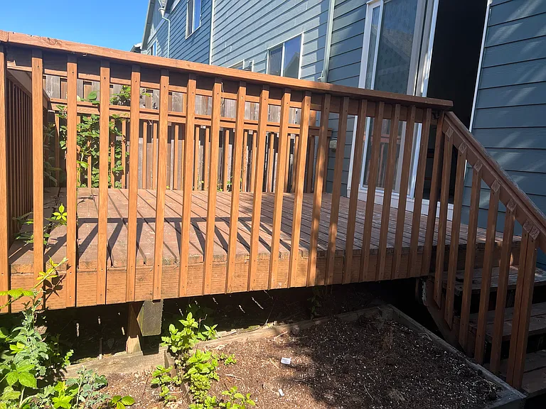 Back Yard-4