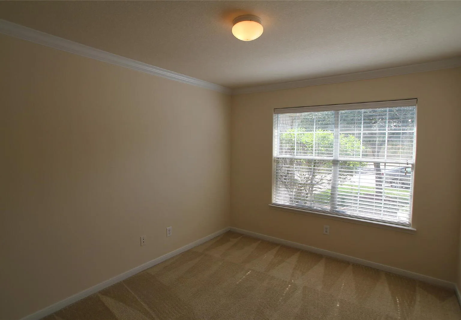3 bed, 2.0 bath, 1645 sqft, $1,800 — Photo 4