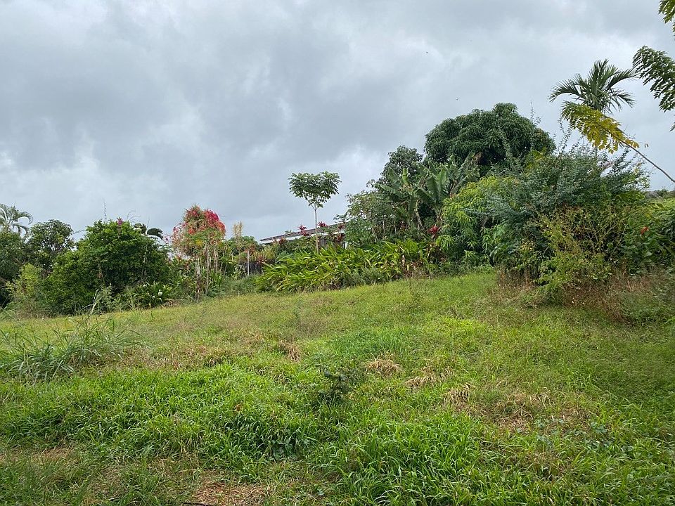 2nd image of Hiona St Lot 42