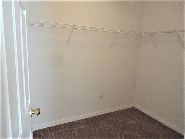3213 Dunstable Dr — Photo 13