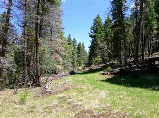4 Evergreen Ln, Cloudcroft, NM 88317