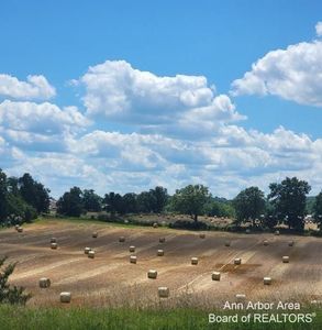 0 Cement City Hwy, Cement City, MI, 49233
