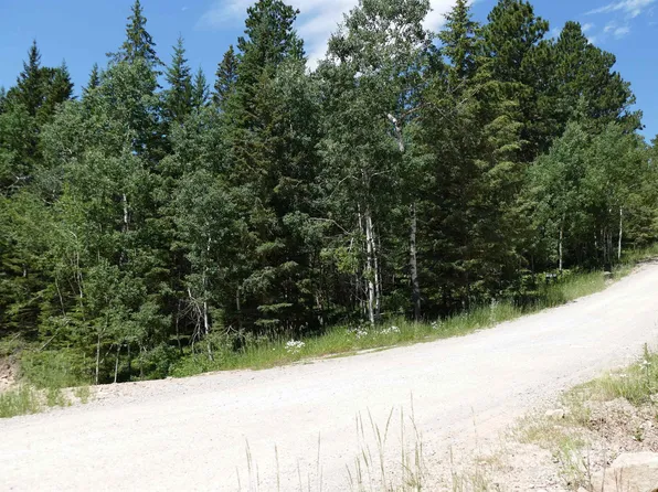 11017 Antelope Trl, Lead, SD 57754