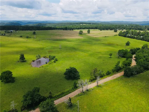 377 Highway 377, Witts Springs, AR 72686