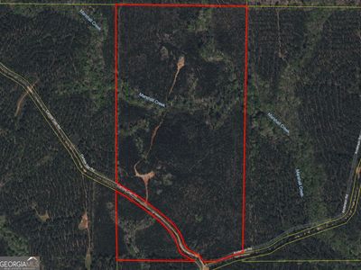 0 Carlisle Gap Rd, Woodland, GA, 31836