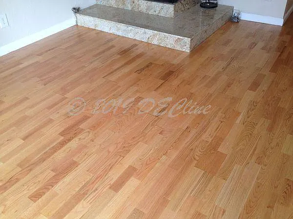 308 Errett Cir — Photo 7