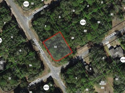 55 W Vince Pl, Citrus Springs, FL, 34434