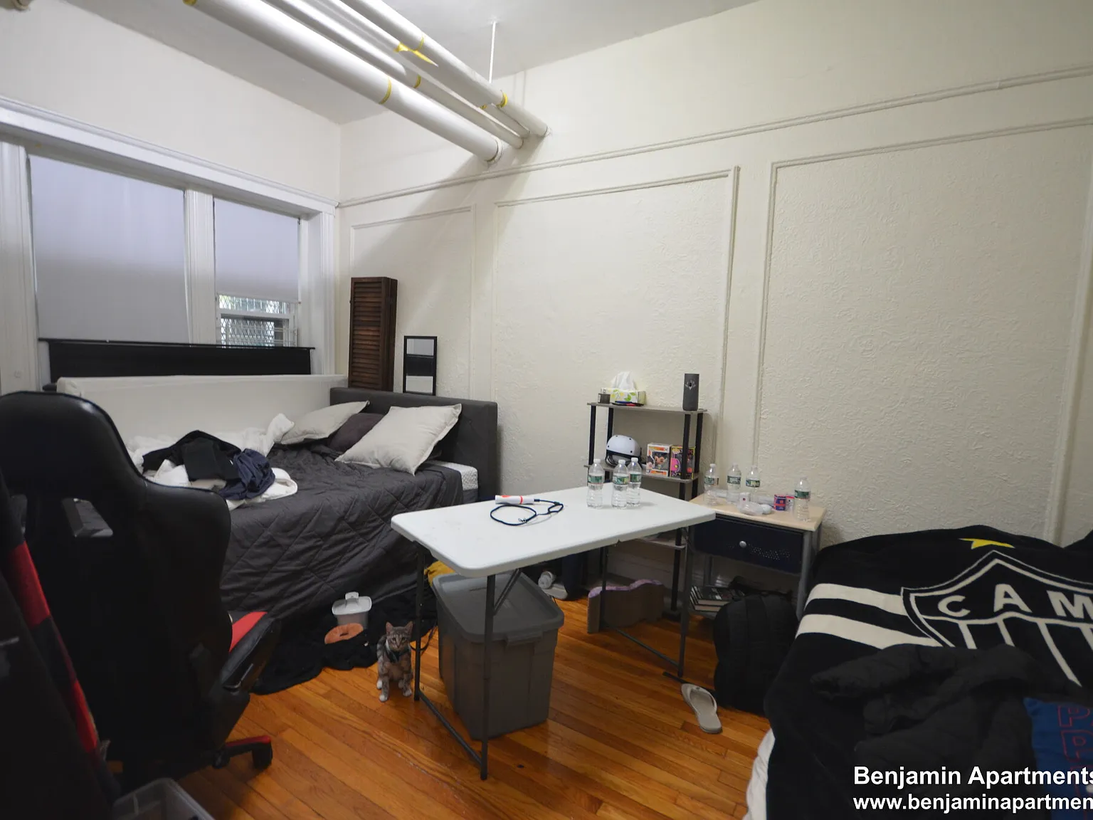 1 bed, $2,250 — Photo 2