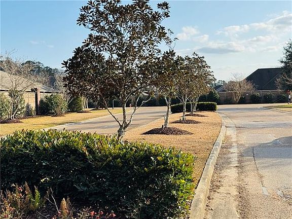 4th image of 28414 Evangeline Ln