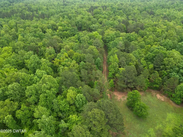 0 Buggy Branch Ln, Cedar Grove, TN 38321