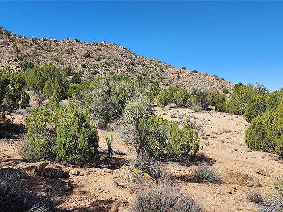 3rd image of 3288 E Sun Valley Drive