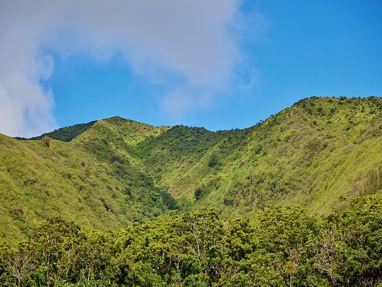 560 Kuikahi Dr — Photo 4