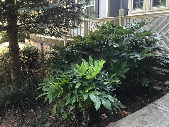 2nd image of 3839 W Lane Dr SE