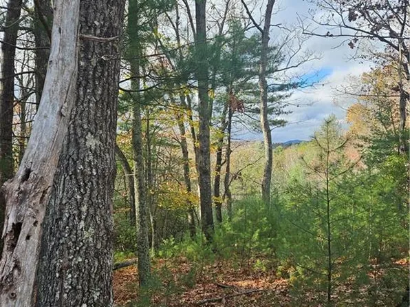 0 Sutters Ridge Rd, Mc Grady, NC 28649