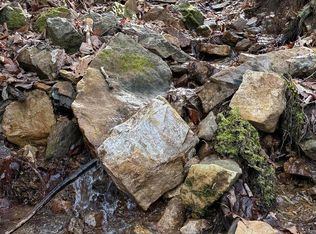 31 Acres Hwy #421-S, Mountain City, TN 37683