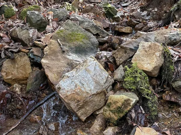 31 Acres Hwy #421-S, Mountain City, TN 37683