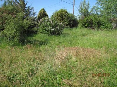 4595 Avenue E, Trail, OR, 97503