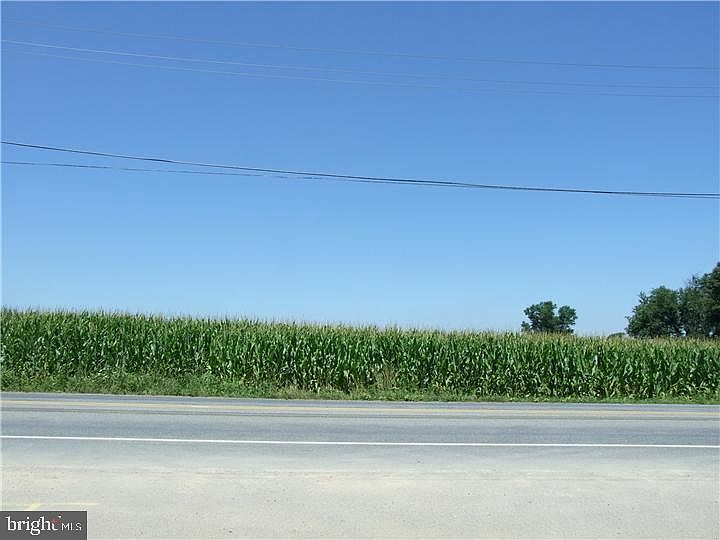 2nd image of 177 Limestone Rd