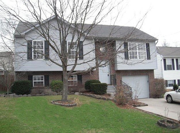 View from Rifle Lane