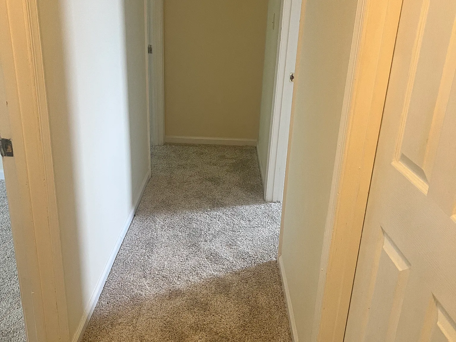 3 bed, 1.5 bath, 1144 sqft, $2,100 — Photo 4