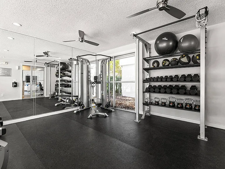 The Pointe at Clearwater — Photo 15