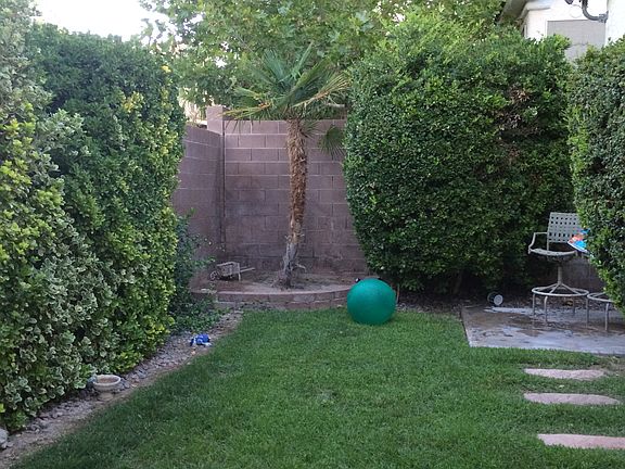 green back yard