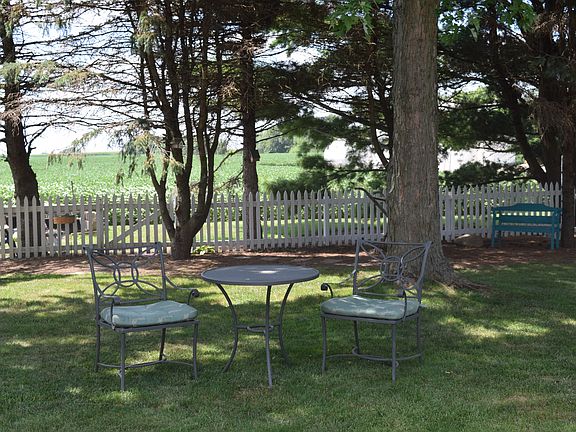 large shady yard