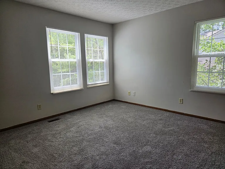 2208 Big Tree Dr — Photo 10
