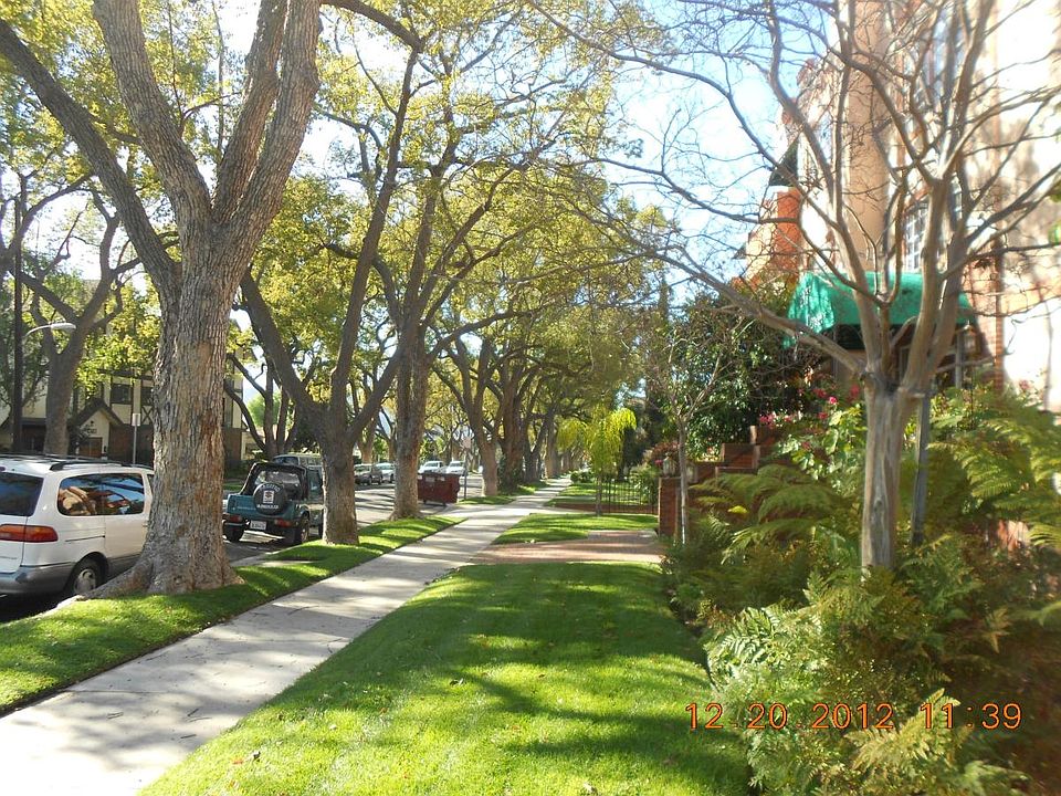 Tree-lined Allen Ave