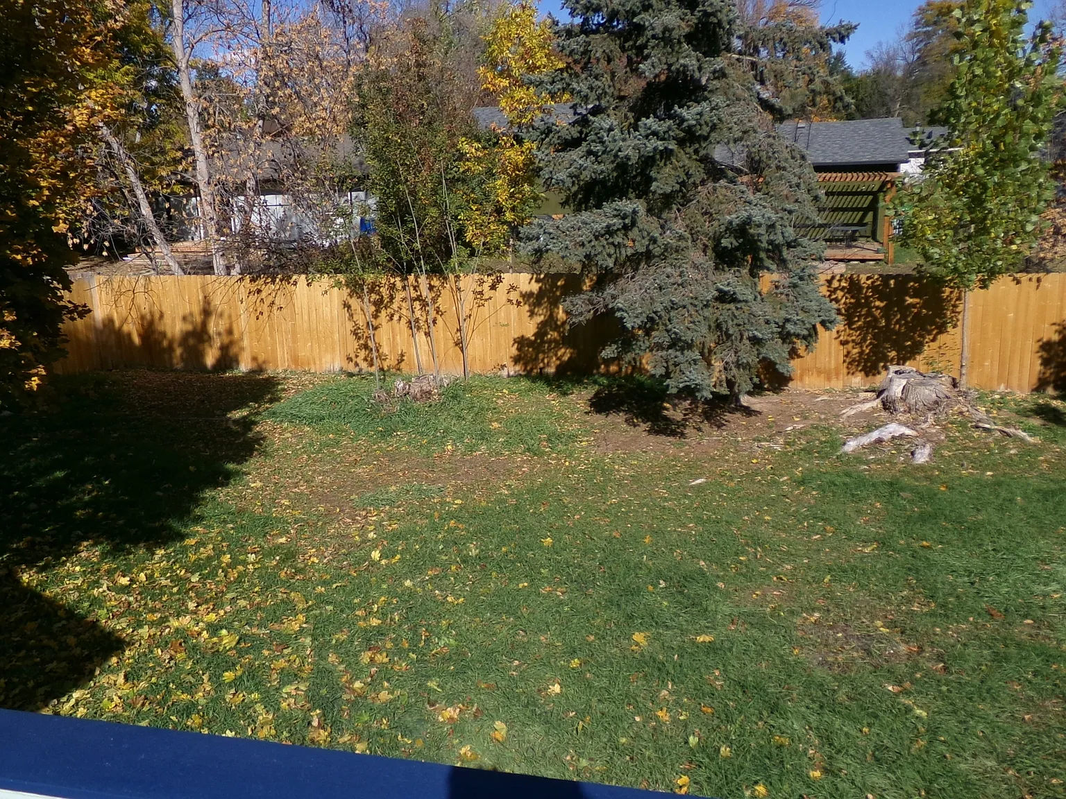 924 Queens Ct Ft Collins 80525 - 1 — Photo 2