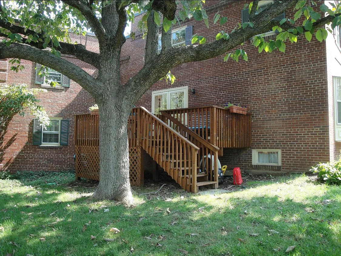 Side yard - 4881 Chevy Chase Dr