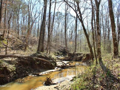County Road 3225, Kosciusko, MS, 39090
