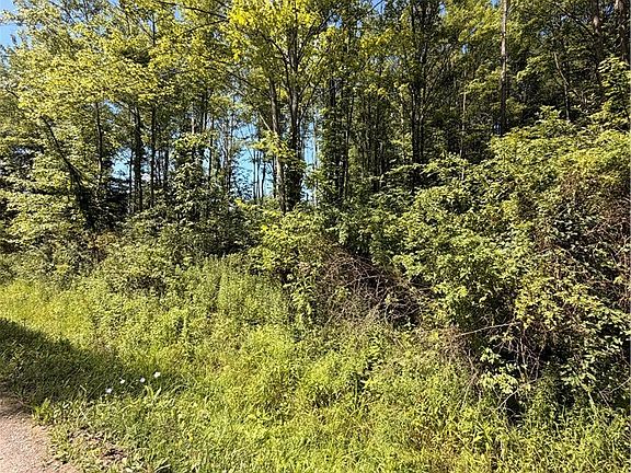 2nd image of Forman Rd