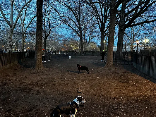 Rented by Nooklyn NYC LLC | media 43