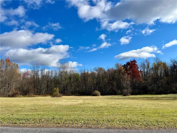 Hogback Rd #78, Red Creek, NY 13143