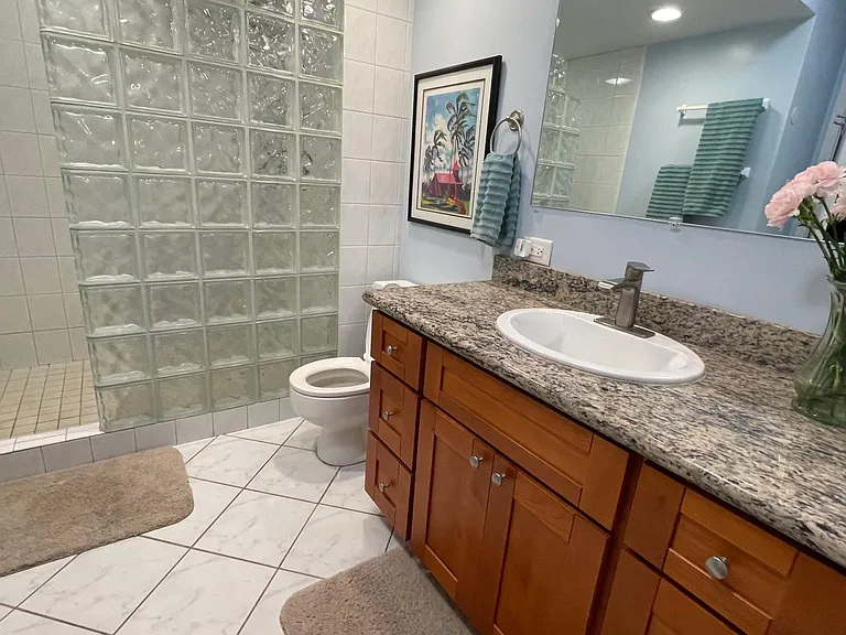 Master/Primary bathroom.