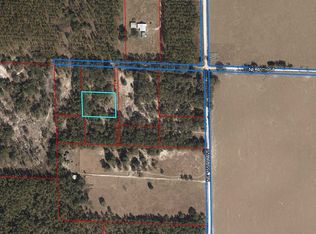 PARCEL 438500100, Williston, FL 32696