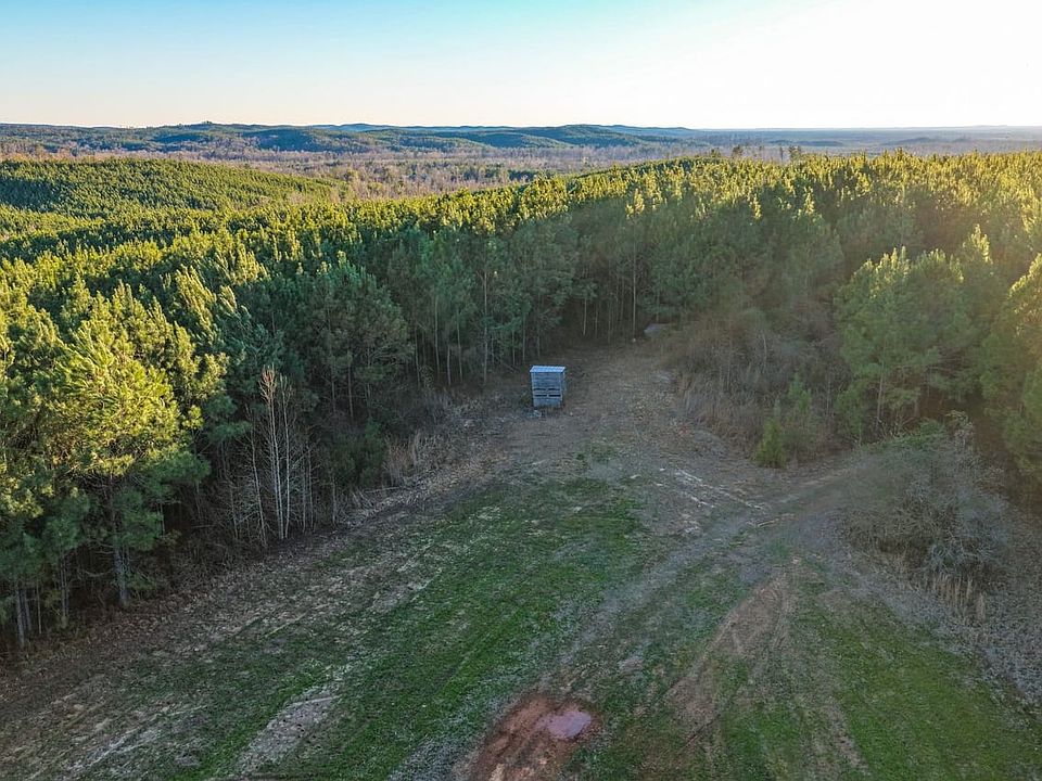 Dji 20260223065104 0218 D