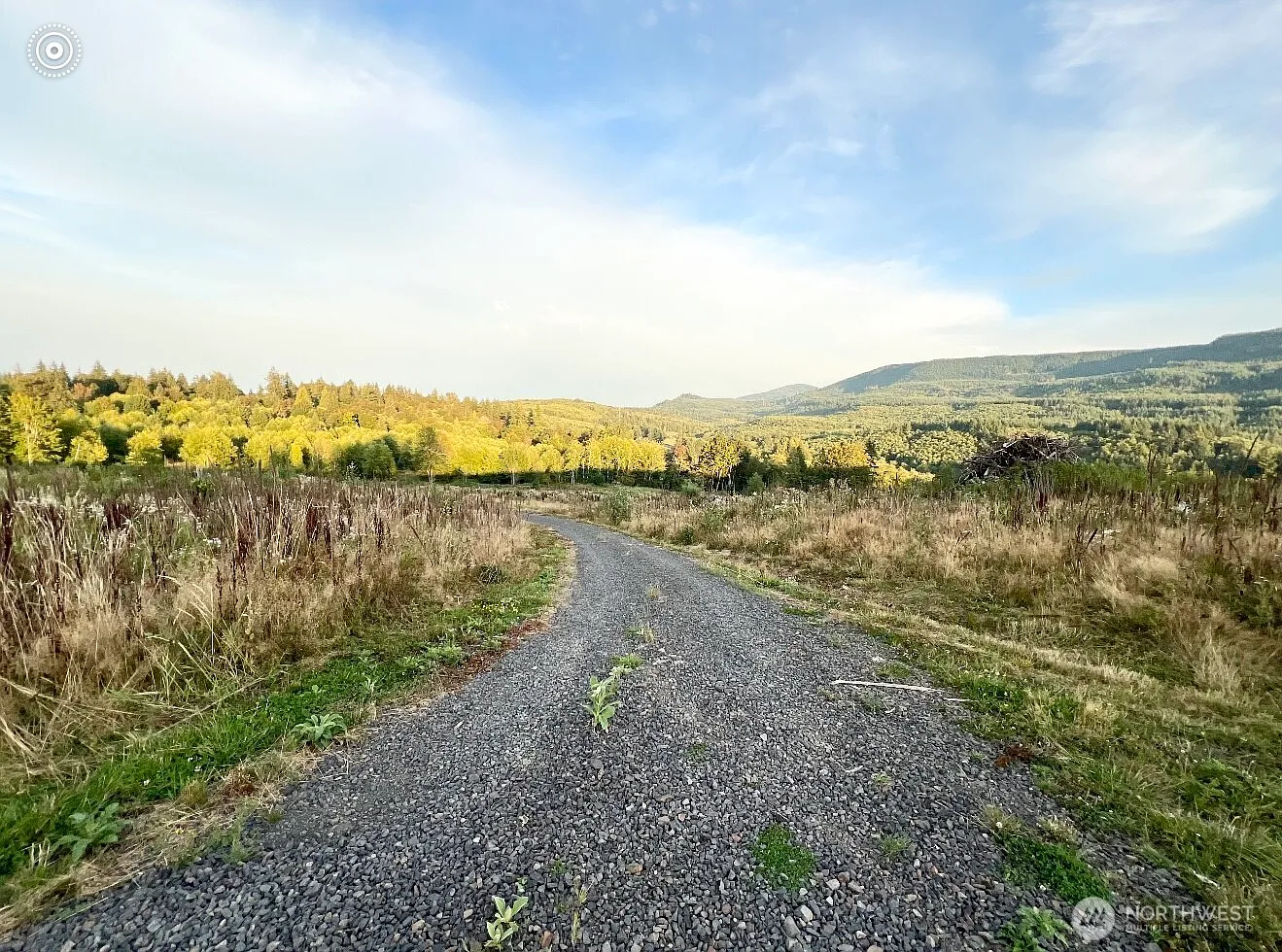 195 Hagen #82 Road photo 1